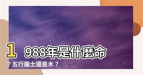 1988年是什麼龍|1988年是什么命 88属龙的一生命运状况